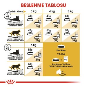 Royal Canin Siamese 38 Siyam Kedisine Özel Yetişkin Maması 2 kg - 5