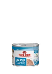Royal Canin Starter Mousse Mother & Babydog Yavru Köpek Konservesi 195 gr - Royal Canin