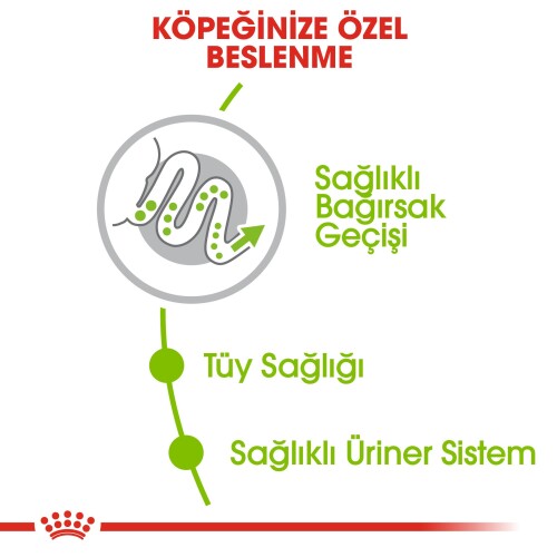 Royal Canin XS Adult Küçük Irk Yetişkin Köpek Maması 1,5 kg - 2