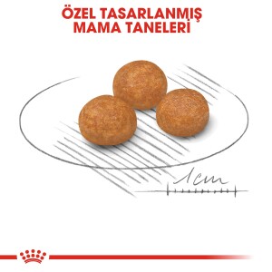 Royal Canin X Small Adult Küçük Irk Yetişkin Köpek Maması 1,5 kg - 3