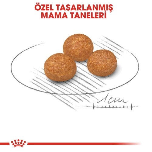 Royal Canin X Small Adult Küçük Irk Yetişkin Köpek Maması 1,5 kg - 3