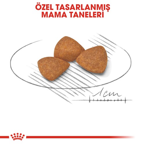 Royal Canin XS Ageing +12 Küçük Irk Yaşlı Köpek Maması 1,5 kg - 4