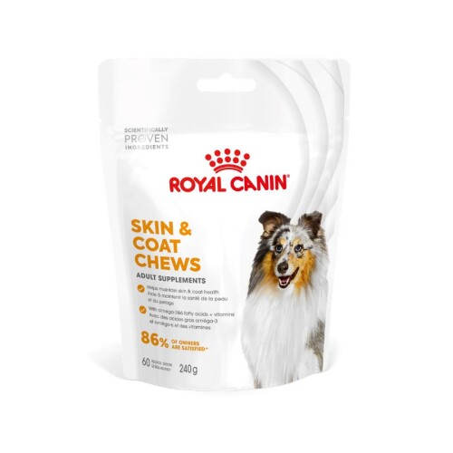 Royal Canin Yetişkin Köpekler İçin Deri ve Tüy Sağlığını Destekleyen Tamamlayıcı Ödül Maması 240 Gr - 1