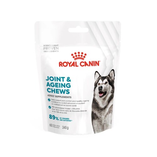 Royal Canin Yetişkin Köpekler İçin Eklem ve Sağlıklı Yaşlanmayı Destekleyen Tamamlayıcı Ödül Maması 240 Gr - 1