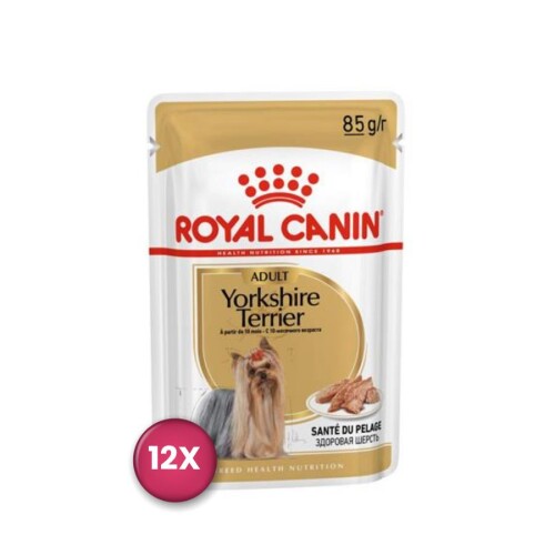 Royal Canin Yorkshire Terrier Adult Pouch Yetişkin Köpekler İçin Konserve 85 gr x 12 Adet - 1