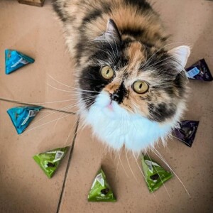 Sanabelle Hairball Tüy Yumağı Önleyici Kedi Ödül Maması 20 gr - 3