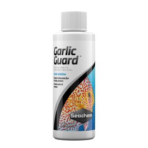 Seachem Garlicguard Yem Lezzet Arttırıcı 100 Ml - Seachem