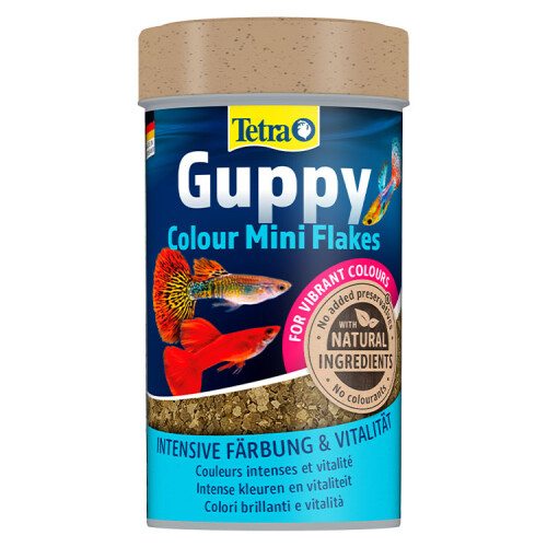 Tetra Guppy Colour Mini Flakes Lepistes Pul Balık Yemi 100 Ml - 1