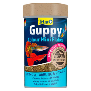 Tetra Guppy Colour Mini Flakes Lepistes Pul Balık Yemi 250 Ml - Tetra
