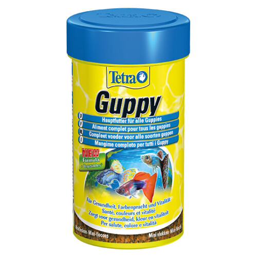 Tetra Guppy Lepistes Balık Yemi - 1