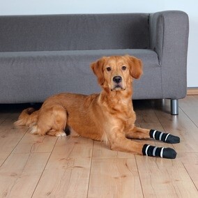 Trixie Köpek Çorabı Kaymaz L 2 Adet - 2