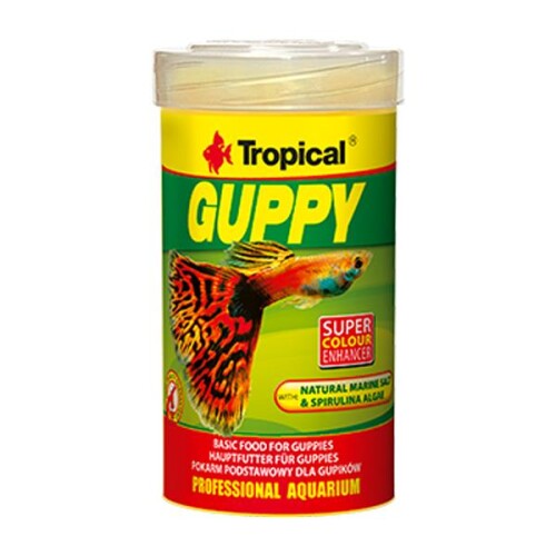 Tropical Guppy Pul Lepistes Yemi 50 Gr - 1