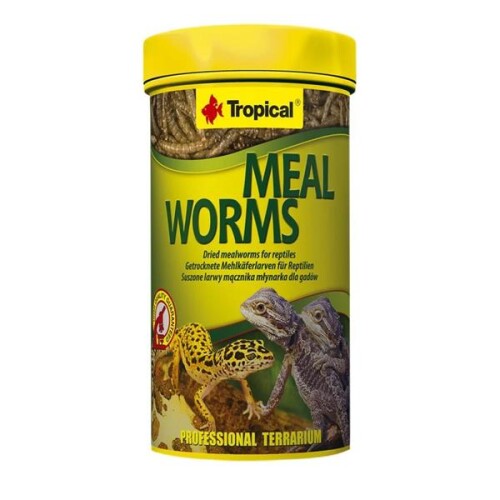 Tropical Meal Worms Kurutulmuş Un Kurdu 30 Gr - 1