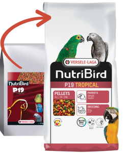 Versele Laga Nutrıbırd P19 Tropıcal Papağan Pelet Yem 10 Kg - Versele Laga