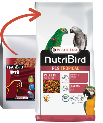 Versele Laga Nutrıbırd P19 Tropıcal Papağan Pelet Yem 10 Kg - 1