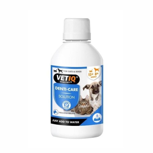 Vet IQ 2in1 Denti-Care Kedi Köpek Ağız ve Diş Bakım Solüsyonu 250 Ml - 1