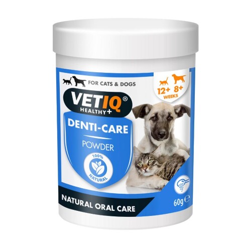 Vet IQ Kedi ve Köpek İçin Diş Bakım Tozu 60 gr