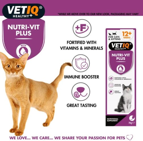 Vet IQ Nutri-vit Plus for Cats & Kittens Kediler İçin Vitamin & Mineral Takviyesi 70 gr - 2