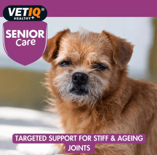 Vet IQ Senior Care Yaşlı Köpekler İçin Vitamin Mineral Takviyesi 45 Tablet - 3