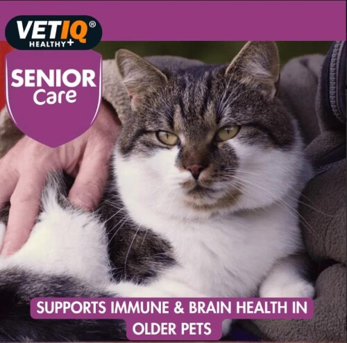 Vet IQ Senior Care Yaşlı Köpekler İçin Vitamin Mineral Takviyesi 45 Tablet - 4