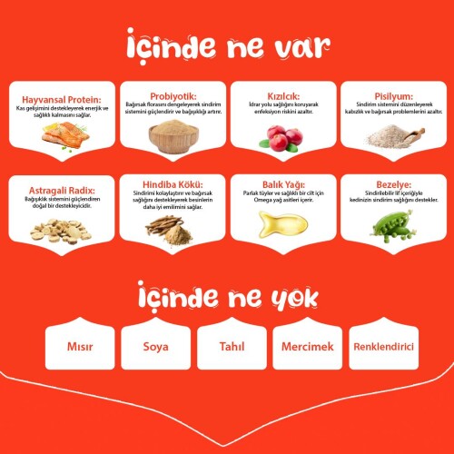 Wanpy Kısırlaştırılmış Somon Ve Ton Balıklı Tahılsız Yetişkin Kedi Maması 8 kg - 5