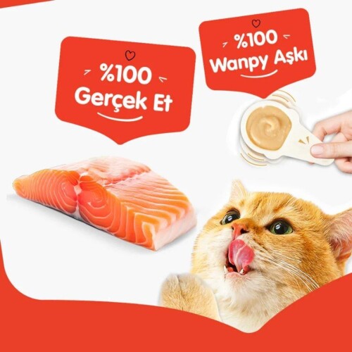 Wanpy Somonlu Kaşık Krema Kedi Ödül Maması 10x16 gr - 5