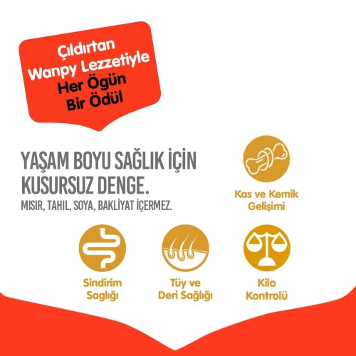 Wanpy Sığır Etli Tahılsız Yetişkin Köpek Maması 1,5 kg - 3