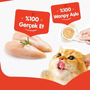 Wanpy Tavuklu Kaşık Krema Kedi Ödül Maması 10x16 gr - 3