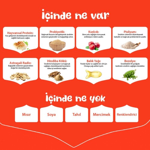 Wanpy Tavuklu Tahılsız Yavru Kedi Maması 8 Kg - 4